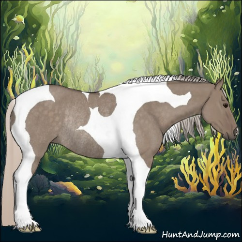 Horse Color:Silver Grullo Roan Tobiano Rabicano 