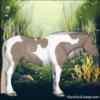 Horse Color:Silver Grullo Roan Tobiano Rabicano