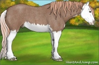 Horse Color:Red Roan Splash 