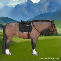 Horse Color:Brown Roan