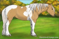 Horse Color:Palomino Tobiano 