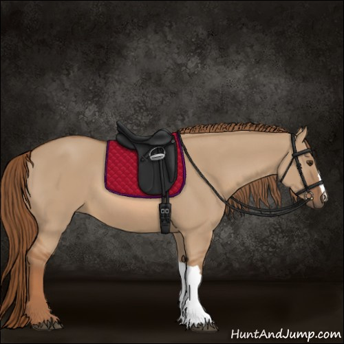 Horse Color:Red Dun 