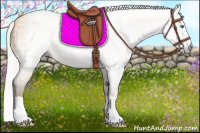 Horse Color:Gray Silver Amber Cream Champagne Splash 