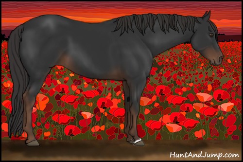 Horse Color:Liver Chestnut 