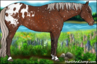 Horse Color:Silver Brown Appaloosa 