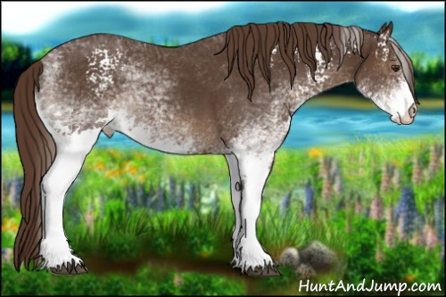 Horse Color:White Spotted Liver Chestnut 