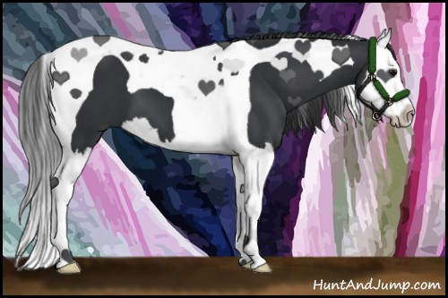 Horse Color:Black Splash Tobiano 