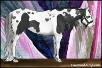 Horse Color:Black Splash Tobiano 