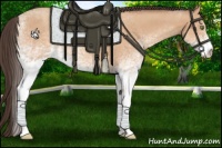 Horse Color:White Spotted Amber Champagne 