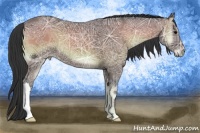 Horse Color:Blue Onyx Ice 