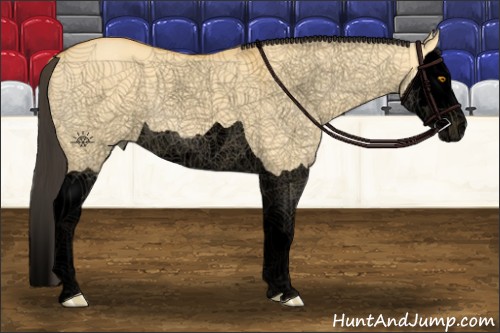 Horse Color:Void Buckskin Dun Splash 