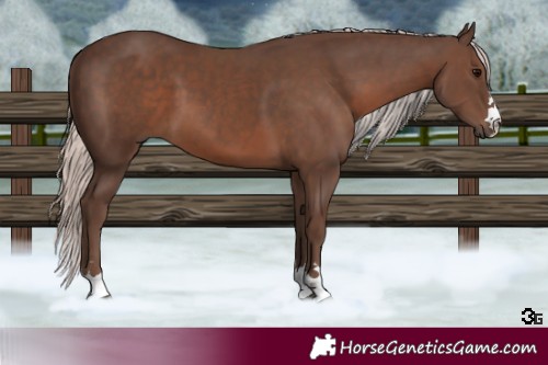 Horse Color:Silver Black 