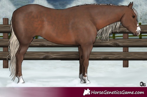 Horse Color:Silver Black 