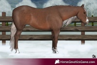 Horse Color:Silver Black 