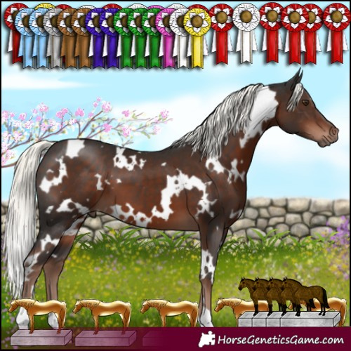 Horse Color:White Spotted Liver Chestnut Mushroom