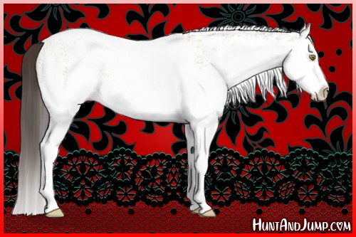 Horse Color:White Spotted Amber Champagne Splash 
