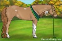 Horse Color:Chestnut Tobiano 