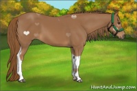 Horse Color:Chestnut Tobiano 