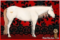 Horse Color:Amber Cream Champagne Pearl 