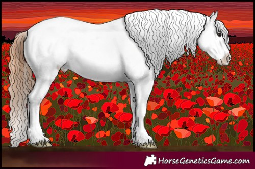 Horse Color:Bay Roan Dun Splash Appaloosa 