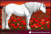 Horse Color:Bay Roan Dun Splash Appaloosa