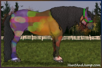 Horse Color:Bay Roan 