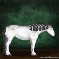 Horse Color:White Spotted Black 
