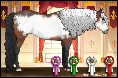 Horse Color:Bay Frame Rabicano 