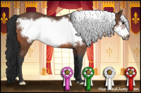 Horse Color:Bay Frame Rabicano 