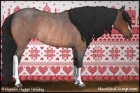 Horse Color:Brown Roan Rabicano