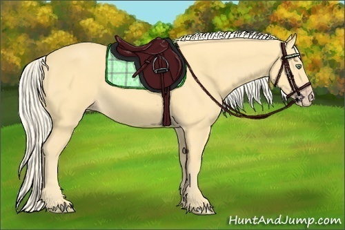 Horse Color:Gold Cream Champagne
