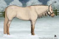 Horse Color:Red Dun Roan 