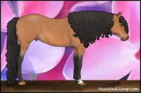 Horse Color:Bay Roan 