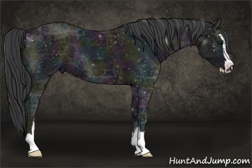 Horse Color:Midnight Black Ice Sabino