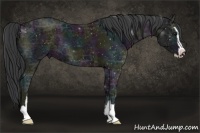 Horse Color:Midnight Black Ice Sabino 