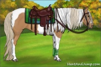 Horse Color:Chestnut Tobiano