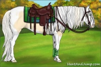 Horse Color:Gold Cream Champagne Dun Splash Tobiano