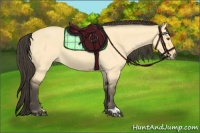 Horse Color:Buckskin Roan Dun 