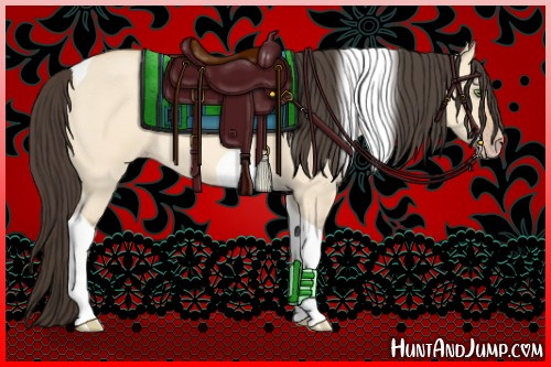 Horse Color:Amber Champagne Roan Dun Tobiano 