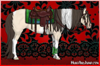 Horse Color:Amber Champagne Roan Dun Tobiano 