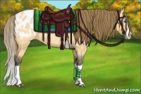 Horse Color:Buckskin Roan Dun Splash Blanket