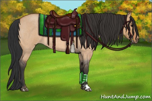 Horse Color:Bay Roan Dun 