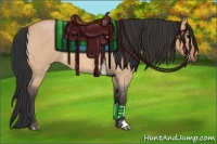 Horse Color:Bay Roan Dun 