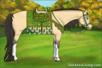 Horse Color:Buckskin Dun 