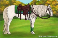 Horse Color:Perlino Dun