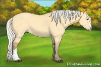 Horse Color:Silver Buckskin Dun