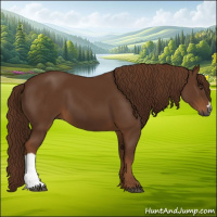 Horse Color:Gray Chestnut 