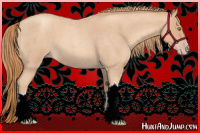 Horse Color:Gold Champagne Roan 