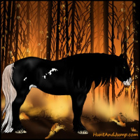 Horse Color:White Spotted Gold Champagne Dun Splash Varnish 