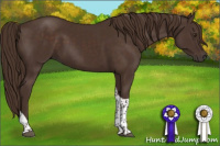 Horse Color:Liver Chestnut Tobiano 
